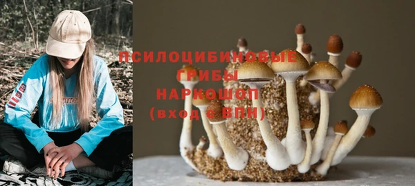 хмурый Абинск