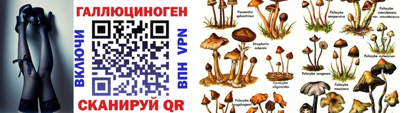 hydra зеркало  Скопин  Галлюциногенные грибы мицелий 